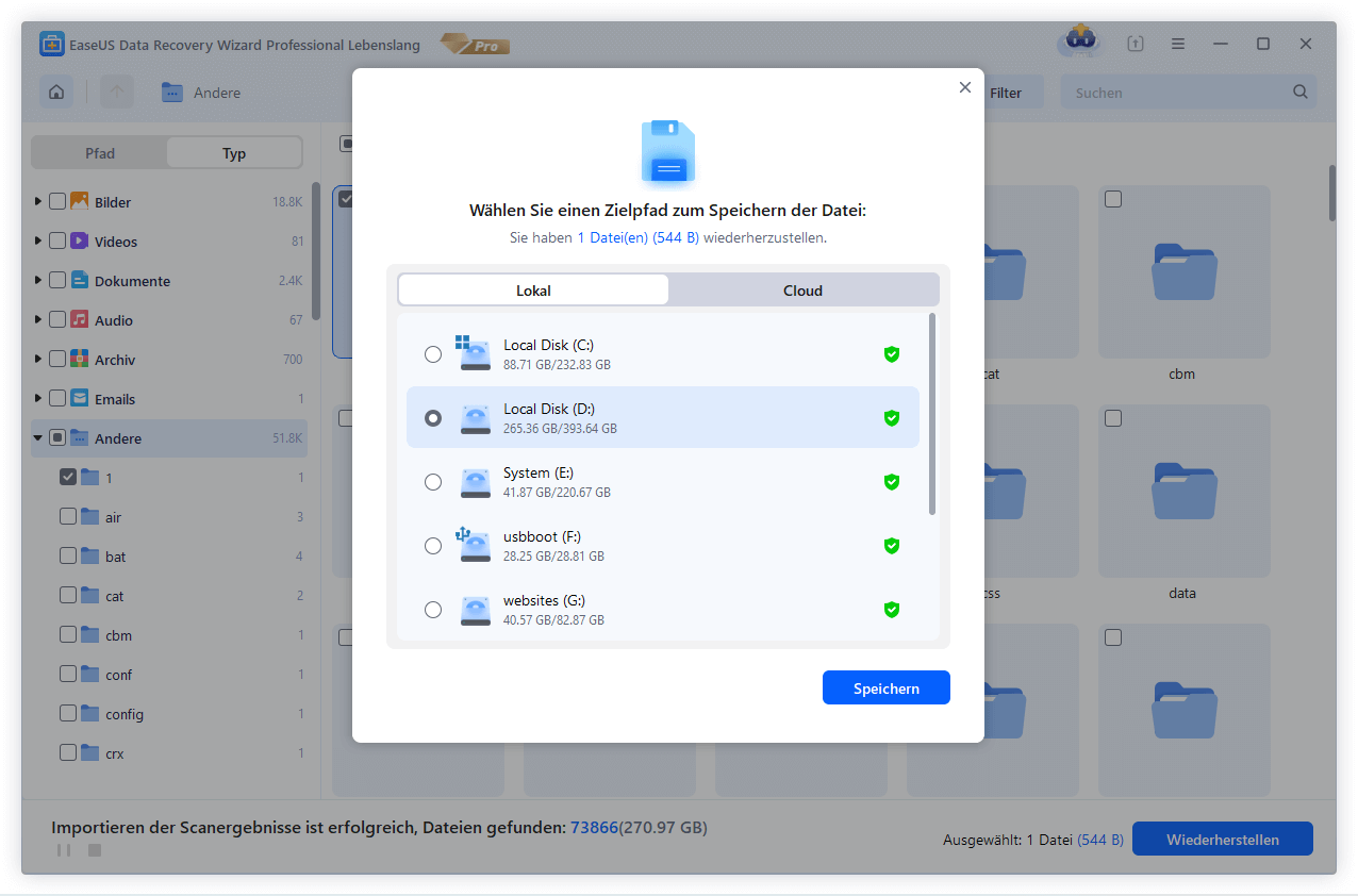 RAW Datenträger wiederherstellen